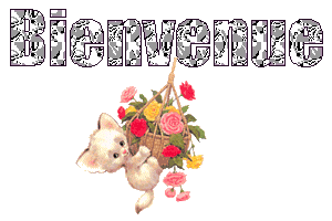 Gif animé bienvenue chat